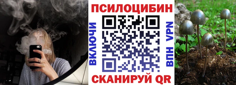 Псилоцибиновые грибы прущие грибы  Выкса 